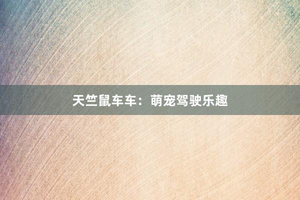 天竺鼠车车：萌宠驾驶乐趣